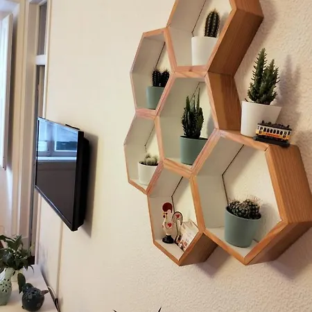 Appartement Bird's Nest