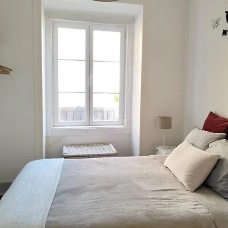Bird's Nest Apartment