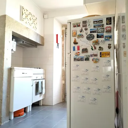 Apartment Bird's Nest