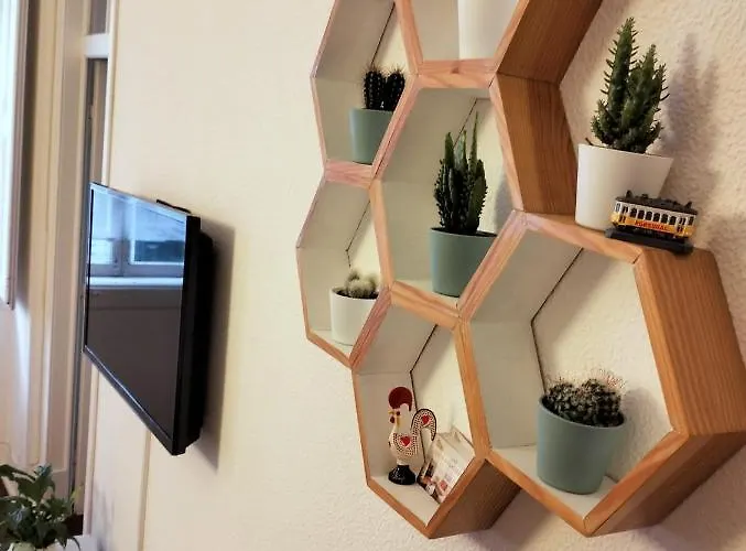 Apartamento Bird's Nest